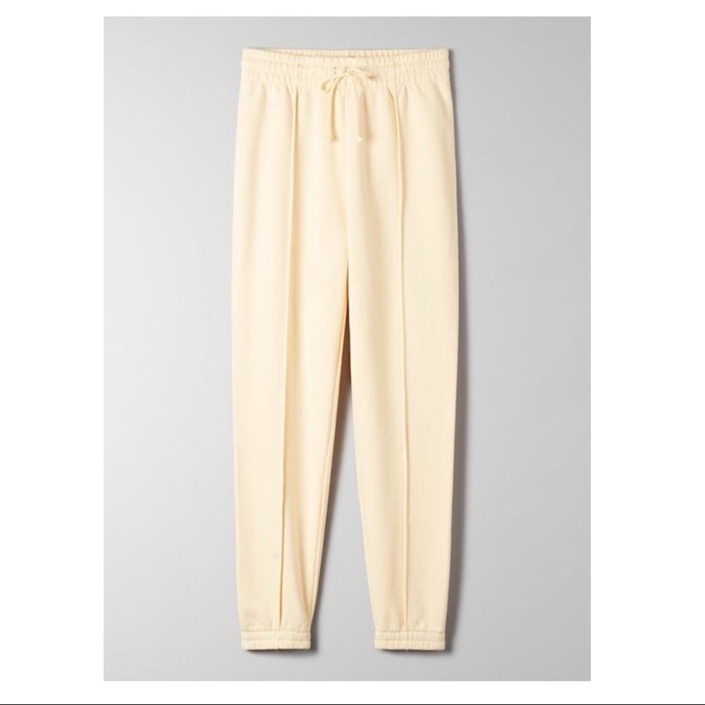 Aritzia Sunday Best Celine Pant (Sold out online)